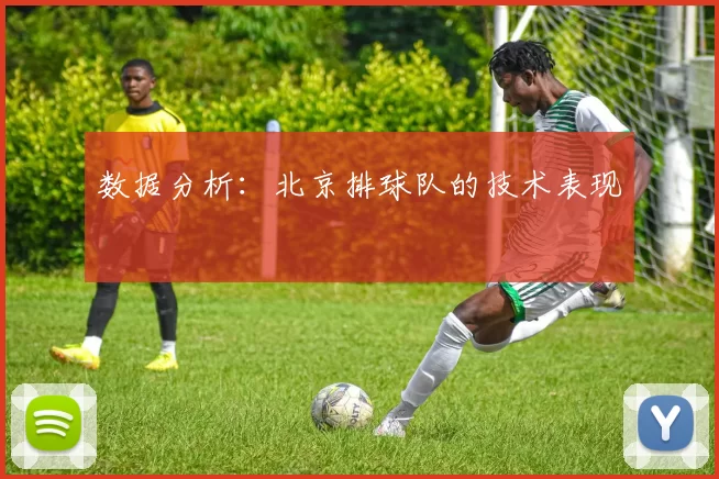 数据分析：北京排球队的技术表现