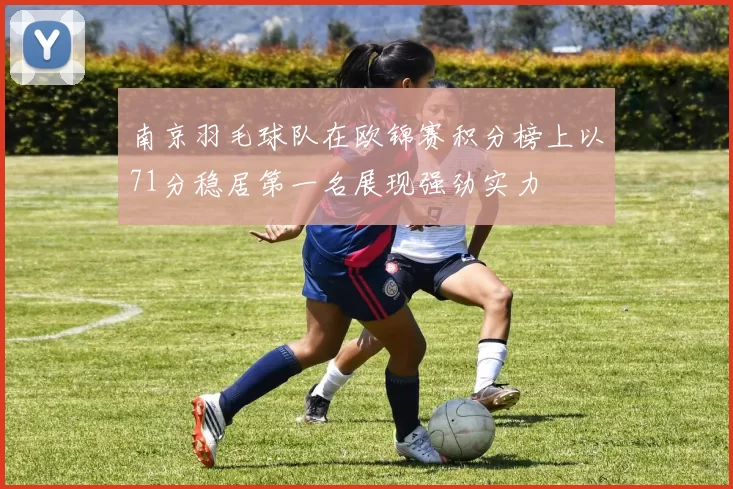 南京羽毛球队在欧锦赛积分榜上以71分稳居第一名展现强劲实力