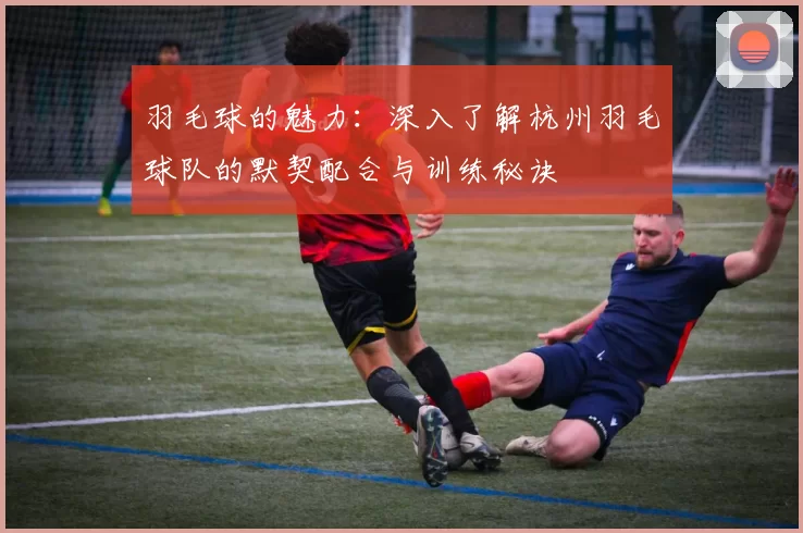 羽毛球的魅力：深入了解杭州羽毛球队的默契配合与训练秘诀